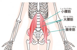 腸腰筋