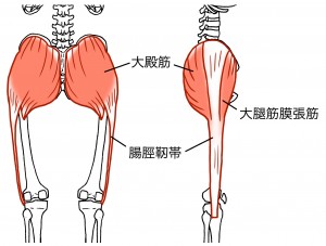 腸脛靭帯2